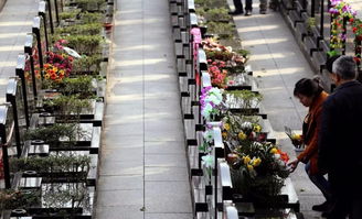 仁懷市民清明祭掃警示 使用此類冥幣將面臨最高5萬元罰款